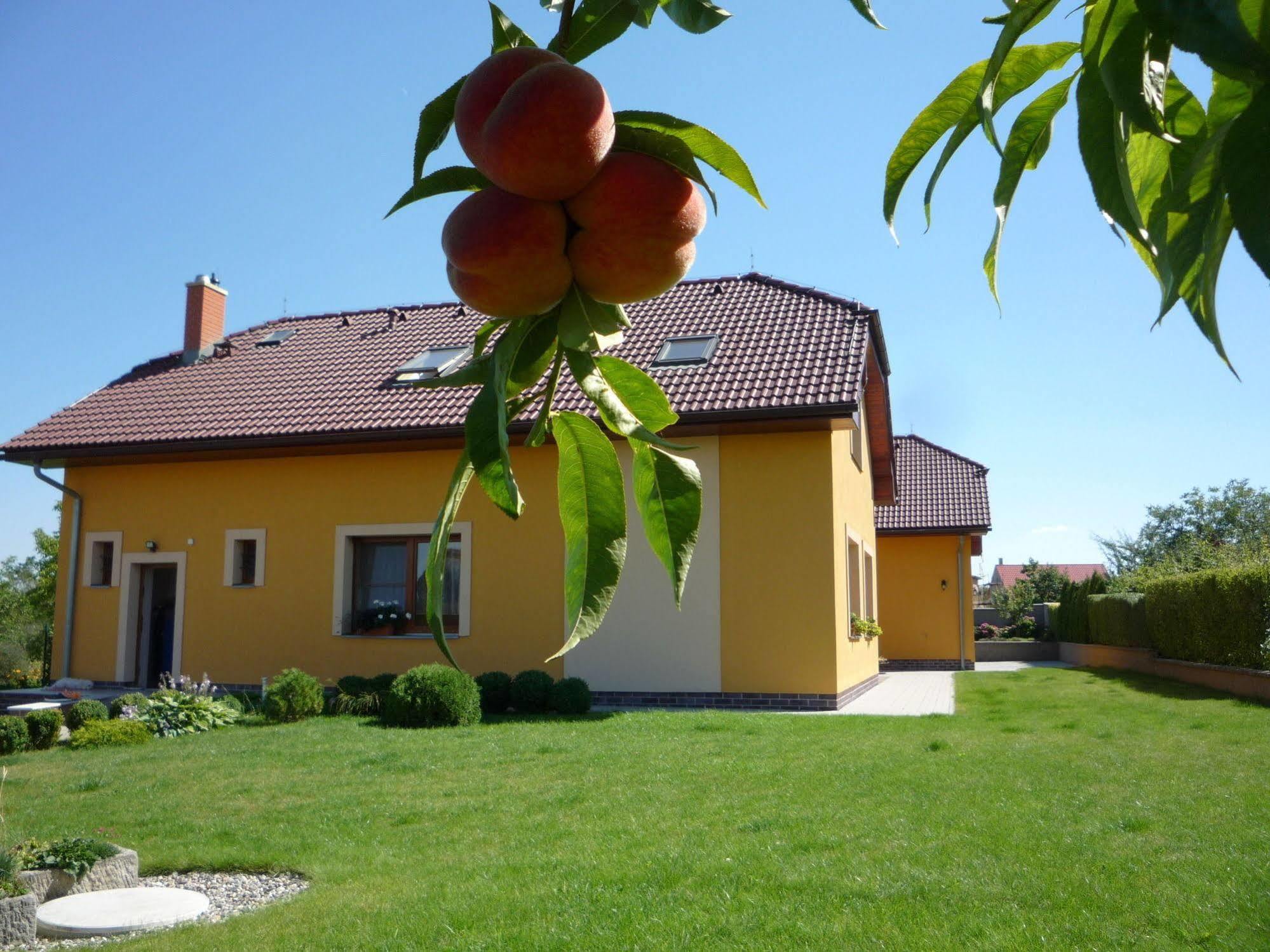 Apartmany Graf Chyne Exterior photo